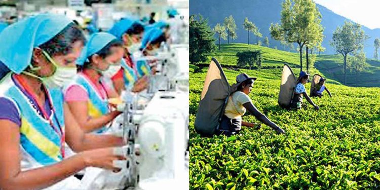 අර්බූදය අස්සේ රෙදිපිළි-තේ ඇනවුම් ලංකාවෙන් ගැලවෙයි! ඕඩර් සියල්ල ඉන්දියාව ඩැහැගනී!
