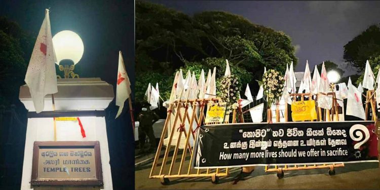 අරලිය ගහ මැදුර ඉදිරිපිට සුදු කොඩි-මල්වඩම්! (PHOTOS)