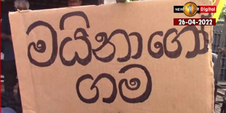 ගෝඨාගෝගමට අමතරව අරලිය ගහ මන්දිරය ඉදිරිපිට ‘මයිනාගෝගම’ ඉදිවෙයි! (VIDEO)