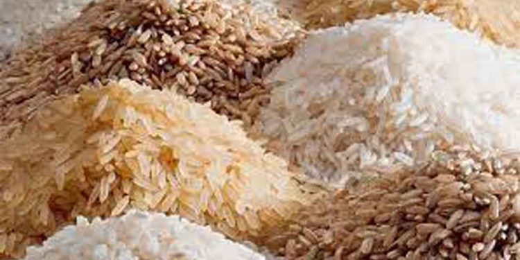 අවුරුදු කන්න ණයට දුන්නු ඉන්දීය හාල් කොළඹට ඇවිත්!