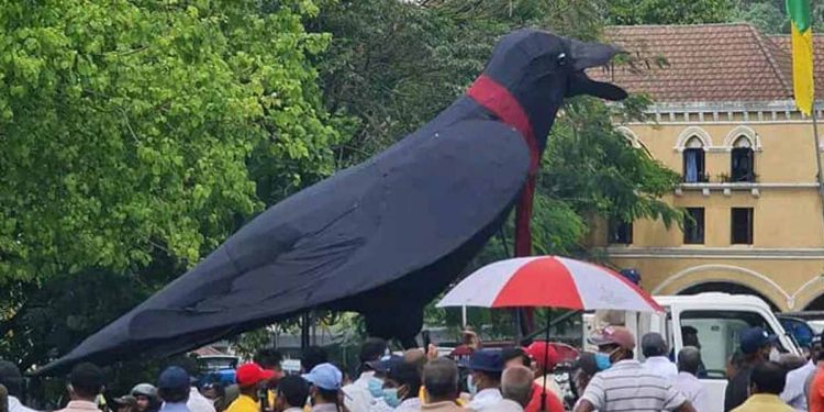 නුවර ඉඳන් එන සජබෙ පා ගමනට සාටකයක් දාගත්ත ලොකු කාක්කෙක් එකතු වෙයි! (VIDEO & PHOTOS)