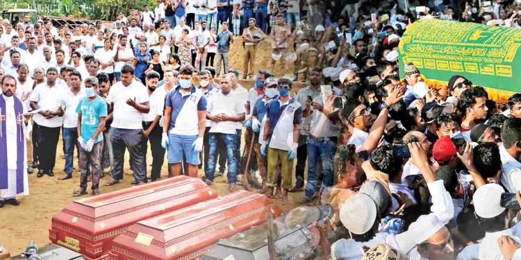 මේ පලදෙන්නේ සංදෘෂ්ටික විපාකයද?