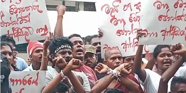 ගනිව්.. ගනිව්… වහා ගනිව්..! අත්අඩංගුවට වහා ගනිව්…! ජොනී රහස් පොලිසිය ඇතුළෙ කටඋත්තර දෙද්දී එළියෙ තරුණයෝ උද්ඝෝෂණයක! (VIDEO)