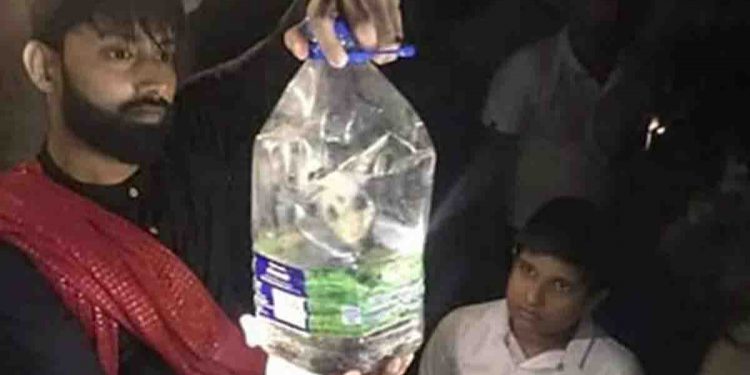 කැලණි ගඟ දෙබෑ කරගෙන ආ මහා නාගරාජයා ලංකාවේ දේශපාලනය උඩුයටිකුරු කරපු හැටි…