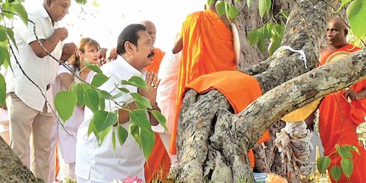 හෙට තීරණාත්මකයි! මහින්ද අද ශ්රී මහා බෝධිය වැඳ පුදා ගනී!