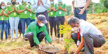 ලෝක පරිසර දිනයට රුක්රෝපණයෙන් නව හුස්මක් දෙන බ්‍රැන්ඩික්ස්…