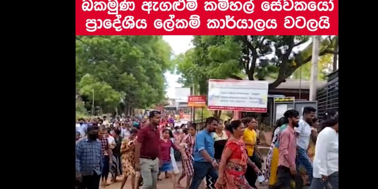තෙල් නැතිව රස්සාවත් නැති වෙන්න යන්නේ! බකමූණේ ගාමන්ට් එකක කොල්ලෝ කොල්ලෝ තෙල් ඉල්ලා ප්රාදේශීය ලේකම් කාර්යාලය වටලයි! (VIDEO)