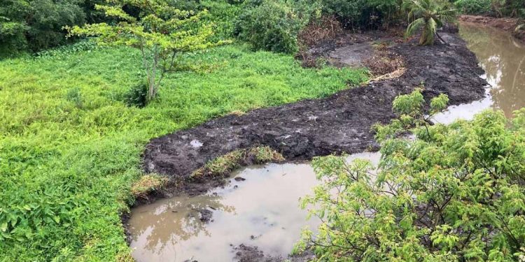 නීතිය අතට ගෙන UDA එක කෝට්ටේ අභය භූමිය වනසයි! හාමුදුරුවො කරපු ඉල්ලීමක්ලු! (VIDEO & PHOTOS)