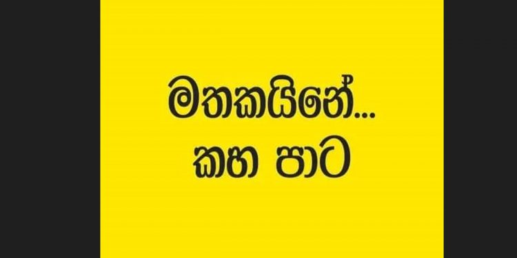 ක්රිකට් අස්සෙ ගහන්න ගිය කහ මල් දේශපාලන ගේම පටන් ගත්ත හැටියේම පච වෙයි! පිපෙන්නෙ නැතිව පරවෙලාම යයි!