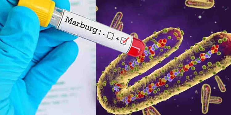 ඊළඟ මාරයා මාබර්ග්…