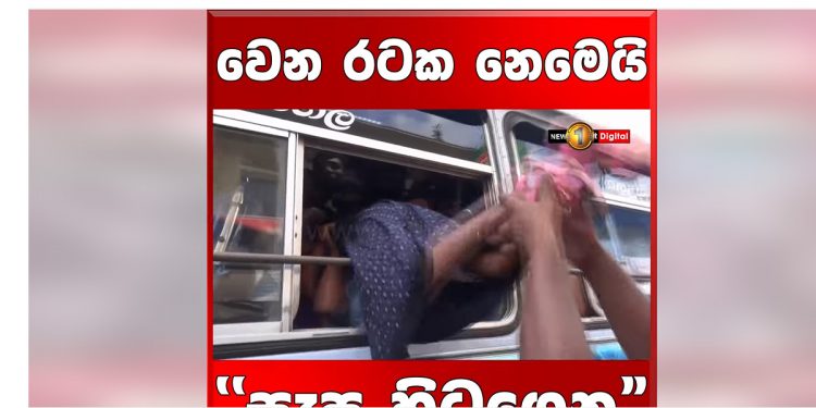 සැප හිටගෙන රට එක තැන! (VIDEO)
