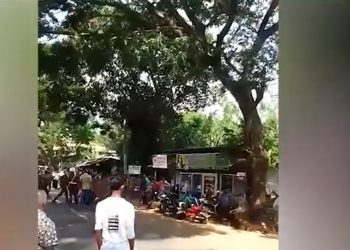 මිද්දෙණියේ තෙල් පෝලිමක සිටි මිනිස්සුන්ට ආරක්ෂක අංශ එළව එළවා පහර දෙයි! අහක හිටපු එවුනුත් ගුටි කාලා! (VIDEO)