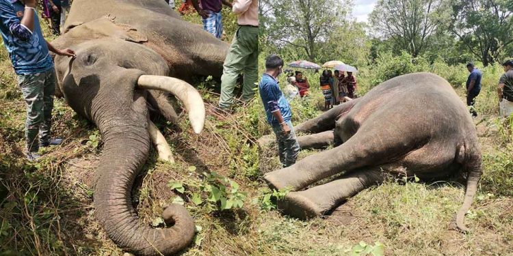 ‘බරණ’ මැරුවා කියපු කොස්තාපල් එළියට එයි!