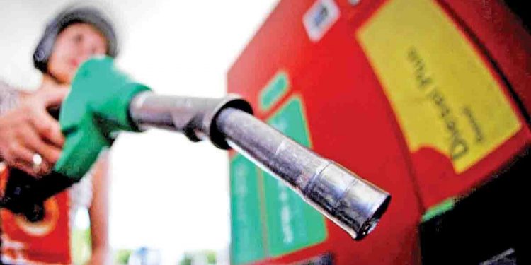 ගල්, තෙල් සහ මල්…