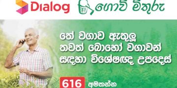 සාම්ප්‍රදායික කෘෂි කර්මාන්තයට තාක්ෂණය මුසුකළ ‘ගොවි මිතුරු’…
