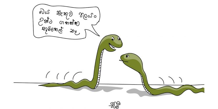 සමීර කලුගම්පිටියගේ කතා කරන කාටූන් එක!