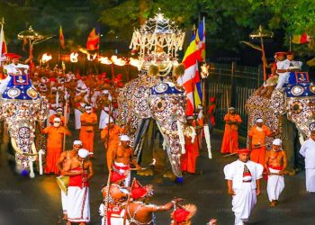 වෙනදා ගියේ කෝටි 8යි! මේ පාර කෝටි 20ත් පැනලා! මහනුවර පෙරහැර වියදමත් මේ පාර තුන් ගුණයකින් නැගලා!