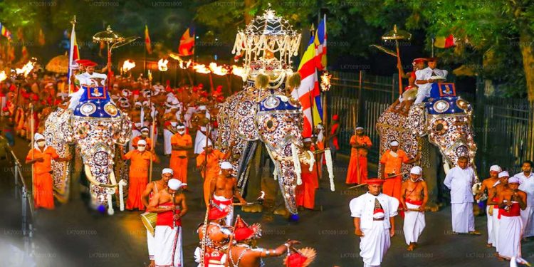 වෙනදා ගියේ කෝටි 8යි! මේ පාර කෝටි 20ත් පැනලා! මහනුවර පෙරහැර වියදමත් මේ පාර තුන් ගුණයකින් නැගලා!