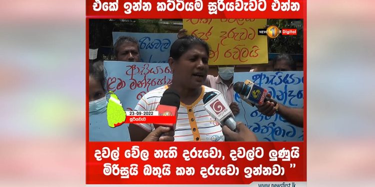 බොරු බයිලා පාර්ලිමේන්තුවේ ගහන්න එපා! අපේ දරුවො ලුණුයි බතුයි දවල්ට කන හැටි බලන්න ගමට එන්න! සූරියවැව අම්මලා ආණ්ඩුවේ ඇමැතිවරුන්ට කියයි! (VIDEO)