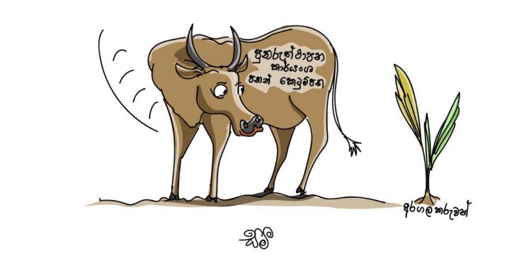 සමීර කලුගම්පිටියගේ කතා කරන කාටූන් එක!