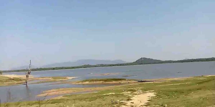 අලි පාළු නැති පාළුකඩවල…!