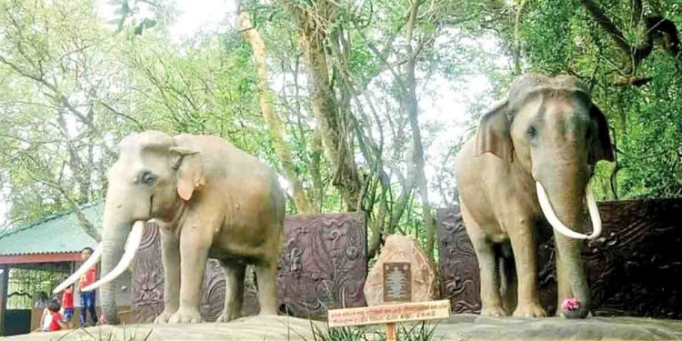 ඇත්තුන්ට කළගුණ සැලකූ ගල්ගමුවේ ගුරු මහත්තයා…