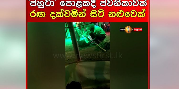 මරණයට වෙලාවක් කලාවක් තැනක් නොතැනක් නැත! මේ ගලේවෙල ‘ජහුටා’ ‌පොළක ජවනිකාවක නිරතව සිටි නළුවෙක් වේදිකාව මතදීම අවසන් ගමන් ගිය අයුරු! (VIDEO)