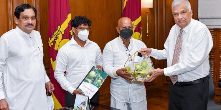 ලංකාවේ කොළ පාට ඇපල් හදන්න රනිල් සපෝට් එකක් දෙන්න යයි! (PHOTO)