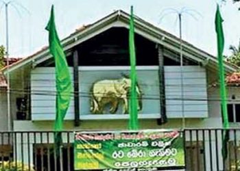 පිටකෝට්ටේ සිරිකොතේ තොවිල් නටන්නේ කව්ද? එළවන්න හදන භූතයා කව්ද? (VIDEO)