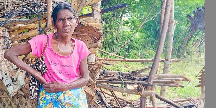 මත්කුඩු, ගංජාවලට එරෙහිව හඬ නැගූ ලිසි නෝනාගේ ගෙදරට මත් ජාවාරම්කරුවන් ගිනි තියයි!