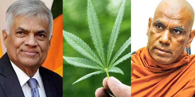 දැනටමත් ජාතිය ඉන්නේ අඩපණ වෙලා! මේකෙන් වෙන්නේ ජාතිය කුඩුපට්ටම් වෙලා විනාශ වෙලා යන එක! රනිල්ගේ ත්රෛලෝකපත්ර කතාවට ඕමල්පේ හිමියෝ උත්තර දෙයි!
