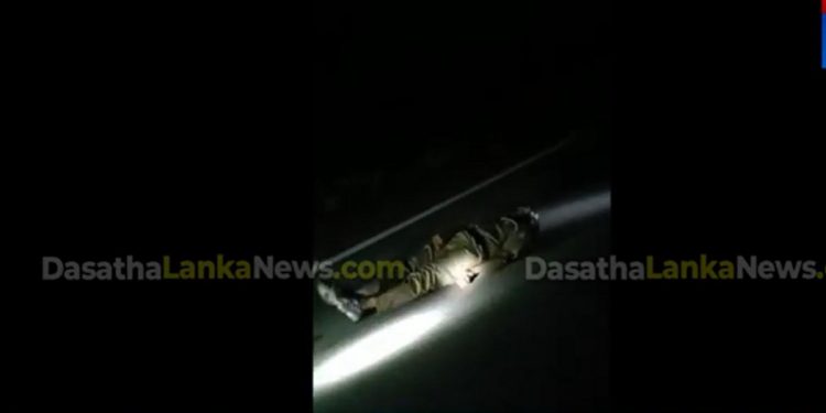 කැබිතිගොල්ලෑවේදී ප්රහාරයකට ලක්වුණු සැරයන් පණ අදිමින් මහ පාරේ වැටී සිටි වීඩියෝව එළියට එයි! සංවේදී දර්ශන සහිතයි! (VIDEO)