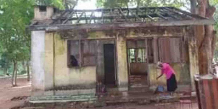 පොප්ලර් ගස් යටින් ඉගිලෙන්න දුයිෂෙන්ගේ පුස්තකාලෙන් නවතින්න…