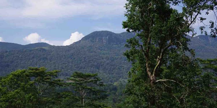 රුහුණ කන්ද…! කිසිවක් රැගෙන නොයන්න..! පා සටහන් විතරක් ඉතිරි කරන්න…!