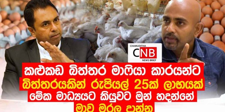 බිත්තර මාෆියා එක ගැන පුදුම හිතෙන හෙළිදරව්වක්! හෙළිකරපු පුද්ගලයන්ට දැන් මරණ තර්ජන එනවලු! (VIDEO)