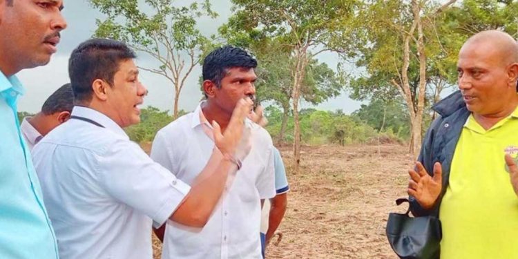 ලක්ෂ 1000ක ආයෝජනයක් නිසා සූරියවැව රක්ෂිතය විනාශයි! ඩෝසර්-ජේසීබී දාලා පළු වීර බුරුත ගස් බිමට සමතලා කරයි! සංවර්ධන කමිටුවේ තීන්දුවත් බල්ලට දාලා! මන්ත්රීවරු බලන්න ගියාම අයිතිකාරයා ඇඟට ගොඩවෙලා සද්දයකුත් දාලා!