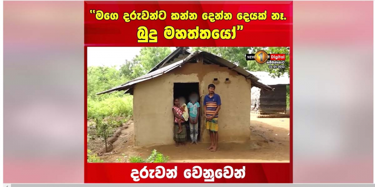 මේ විධායක ජනාධිපතිවරු දෙන්නෙක් බිහිකරපු හම්බන්තොට ගමක පවුලක කතාවක්! පියා අසනීපයි! දරුවො දෙන්නට අම්මා දවල්ට කන්න දෙන්නෙ තෙල් ටිකකට මිරිස් දාලා බැදලා! රෑට කහට උගුරක් විතරයි! VIDEO