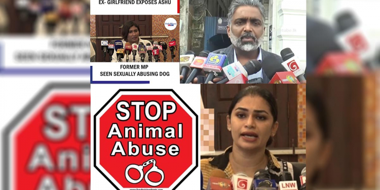 බල්ලොත් එක්ක බෑ…