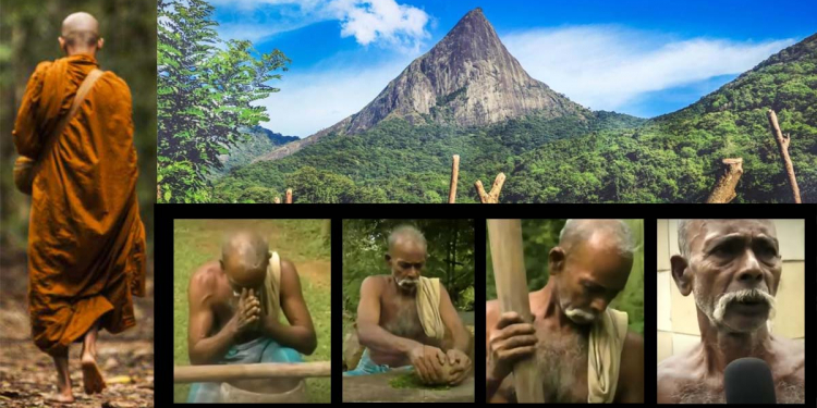 මහ කැලෙන් වට වෙලා, ගමටම ඉන්නෙ එක මිනිහයි, හිටිහැටියෙම දනට වඩින බලවත් හිමිනමක්, කවුරුත් දන්නෙ නැති හැංගිලා තියෙන දංදෙණිකුඹුර කැලේ ගම්මානය…