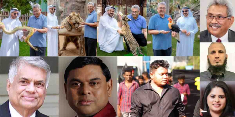 ඇප පිට ‘බඩ්ඩ’ එනු දුටු හැටි කුමක් වැනී! සක බඹරයක් නූලෙන් ගිලිහුණා වැනී…! එනවා පේනවා මුදලිගේ යනවා පේනවා…