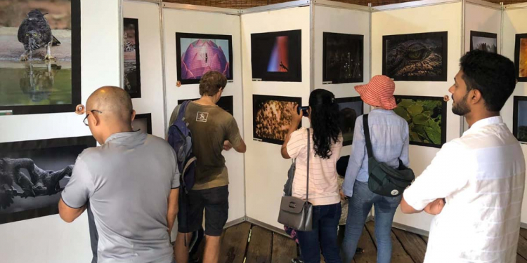 වනජීවී ඡායාරූප ප්රදර්ශනයක් කොළඹ හෝටන් පෙදෙසේදී! (PHOTOS)