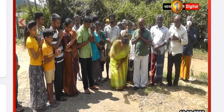 පුංචි ඡන්දෙ ඉල්ලා පොල් ගහයි! VIDEO