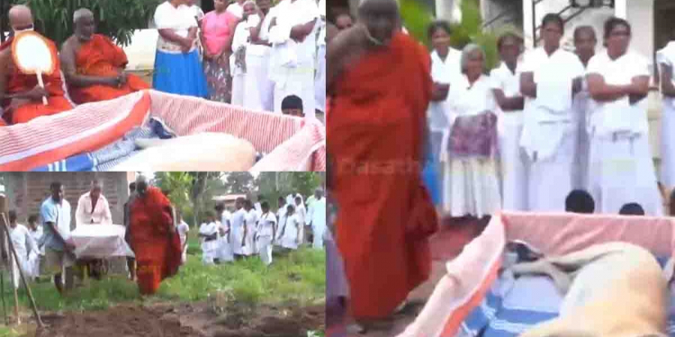 බල්ලෙක් ට මනුස්සයෙක්ට වගේ සලකපු ඇත්තම මිනිස්සුන්ගෙ කතාව…