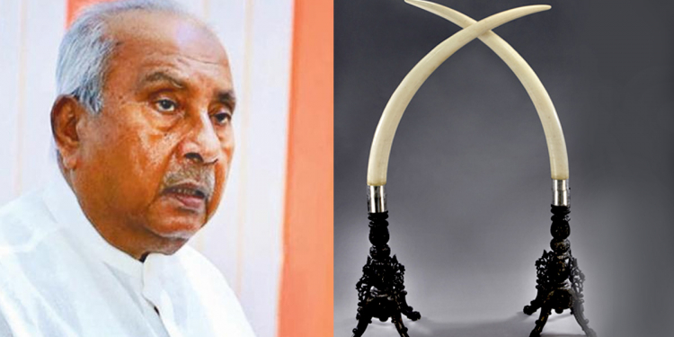 පොලිසිය අල්ලපු වටිනා ඇත් දළ දෙකට අයිතිකාරයන් දෙන්නෙක් සටනක! එක්කෙනෙක් මන්ත්‍රී ගාමිණී ලොකුගේ! අනෙක් කෙනා අකුරැස්සේ වලව්කාරයෙක්! සිද්ධිය උසාවියටත් යයි!
