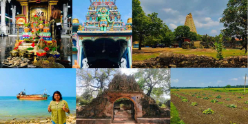 පාල්… පාල්… ට්‍රීන්… ට්‍රීන්… අපෝ දෙයියනේ මේ අර සයිකලයක කිරි අරන් එන කොලුවා…