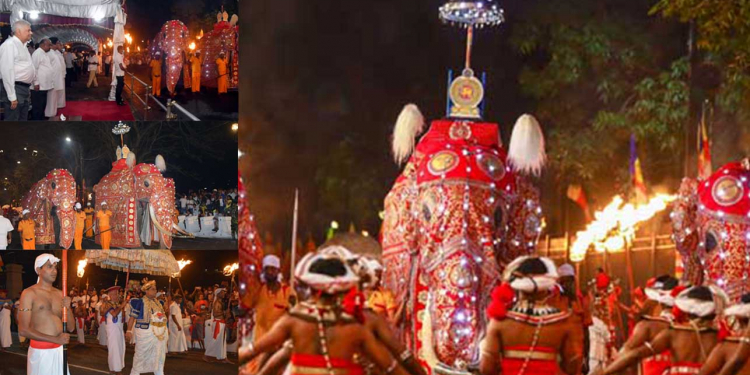 සෙංකඩගල පුර දළදා බුදුරැස් විහිදෙන තුරු නෑ වරදින්නේ… ජනරජ පෙරහැර මොකක්ද කියලයි මේ විදියට අපි දැනගන්නේ….