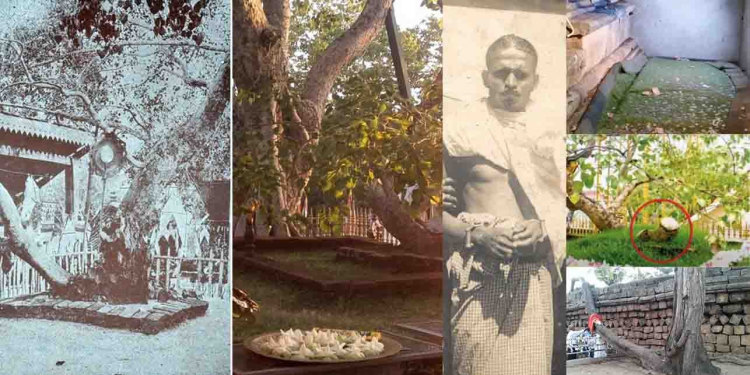 මළු හතක් ඉහළින් වැඩ සිටින බෝධිය අසලට කාටවත් යන්න නොදෙන හේතුව… ජේමිස් අප්පුහාමි ශ්‍රී මහා බෝධියේ ශාඛාවක් කපා දැමූ හැටි… ශ්‍රී මහා බෝධිය ගැන කවුරුත් නොදන්න පුදුම හිතෙන කතා…