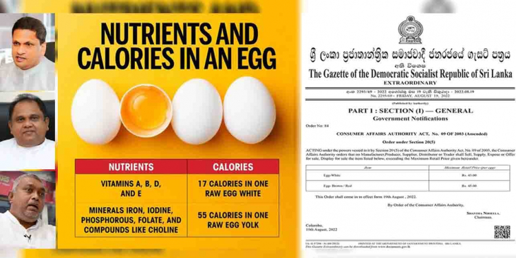 බිත්තර කටුවෙන් එළියට ආපු පවුල් හුටපටය… උන් බිත්තරවලට මරාගන්නවා, රටේ මිනිස්සු බිත්තරයක් කන්න නැතිව දුක් විඳිනවා…