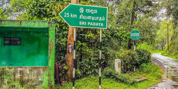 ඔබත් මෑතකදි සිරිපා වන්දනාවට ගියාද? එහෙමත් නැතිනම් යන්නද ඉන්නේ? ගිය කීපදෙනෙක්ගේ මරණ වාර්තා වෙනවා! එක මරණයක් වුණේ ලිස්ටීරියාවෙන්! කීපදෙනෙක්ම ලෙඩ වෙලා! ආහාර ප්‍රශ්නයක් තියෙනවා! බලන්න කවුරුවත් නෑ! දැන්ම මේ වීඩියෝව බලන්න! VIDEO