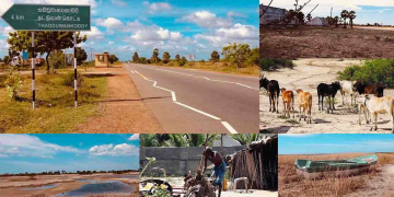 රෂ්මියෙන්ද දූවිල්ලෙන්ද සිනාසෙන මේ බිම තට්ටුවන්කොඩ්ඩිය…!